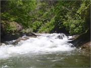 NForkFB 43